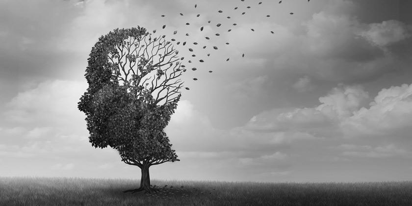 Imagen en blanco y negro de un árbol

Descripción generada automáticamente
