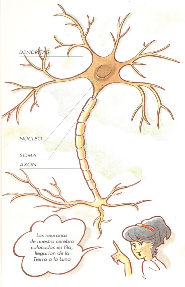 Diagrama

Descripción generada automáticamente