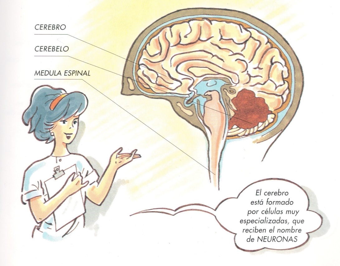 Diagrama

Descripción generada automáticamente