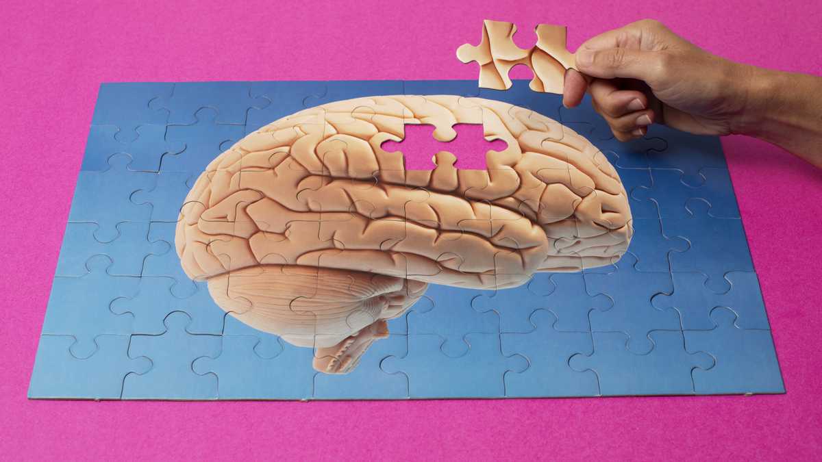 ¿cómo mejorar la circulación cerebral?